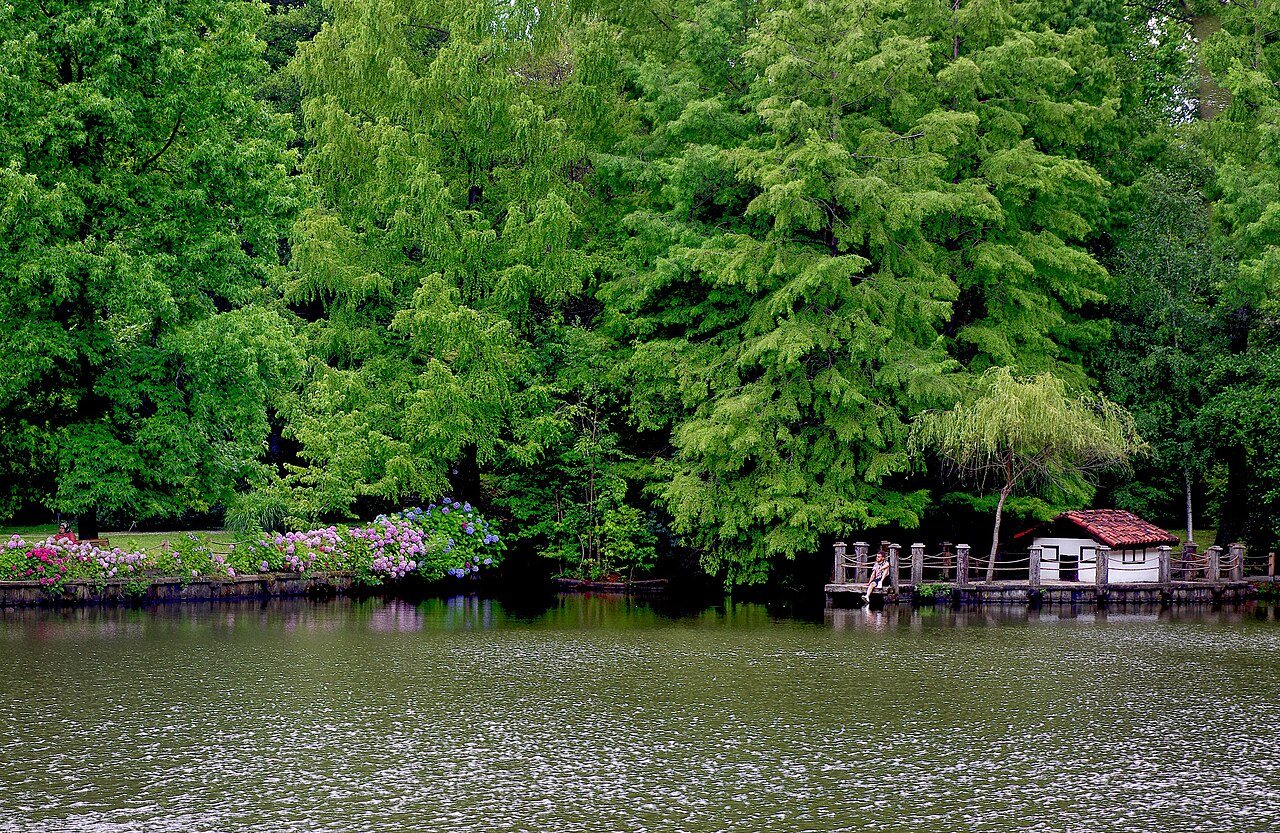 Ataturk arboretum