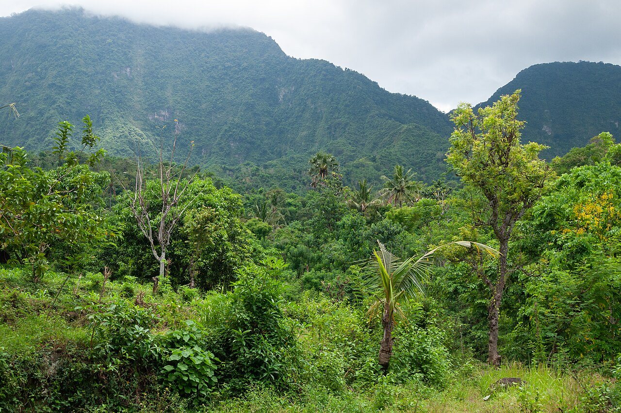 Bali · 3. kare