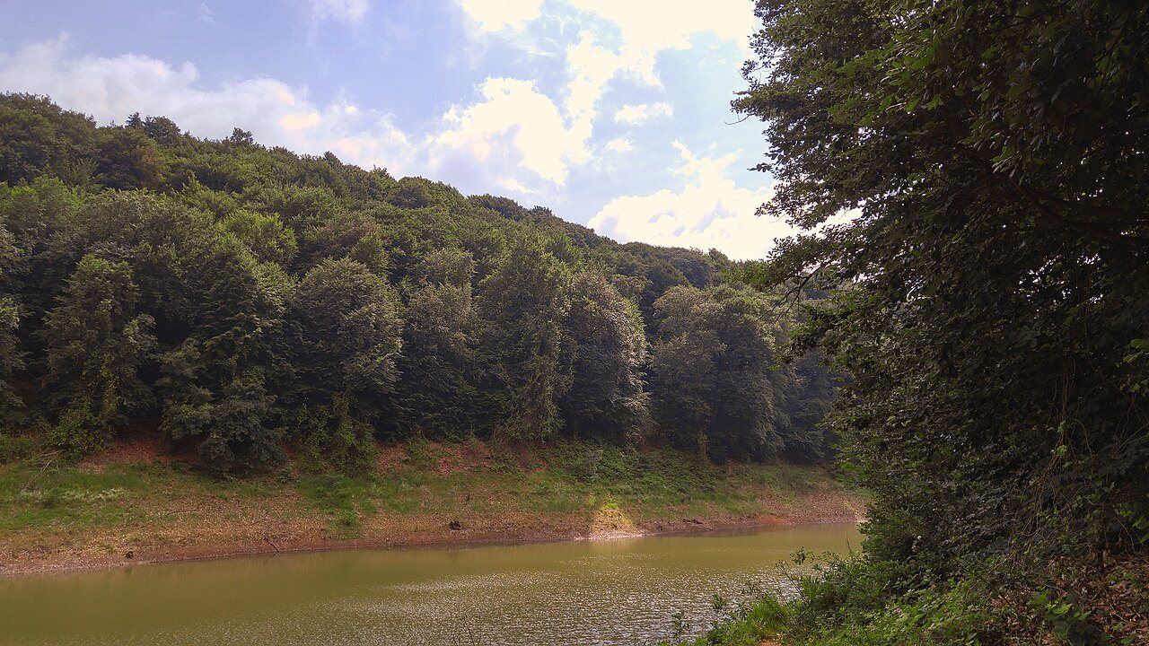 Belgrad Forest (5)