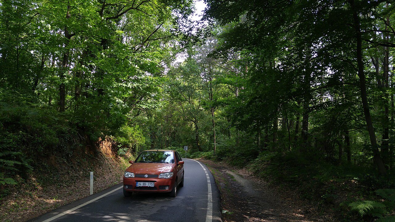 Belgrad Forest (3)
