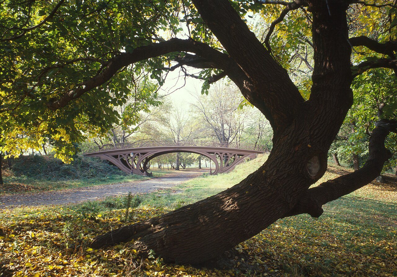 Central Park New York City New York 23 cropped