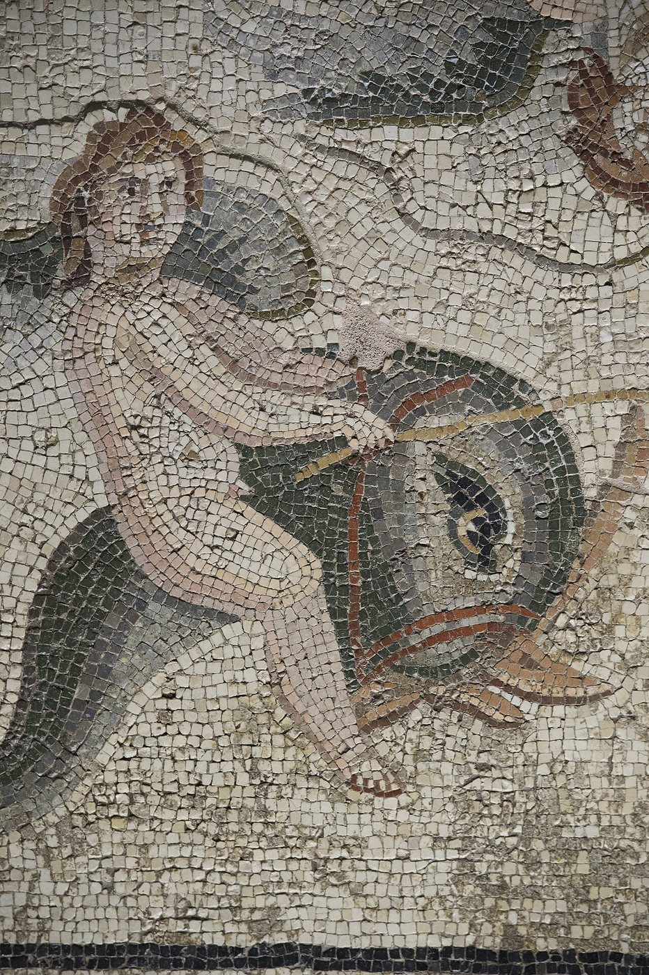 Gaziantep Zeugma Museum Oceanus and Thetys 1 mosaic 2494