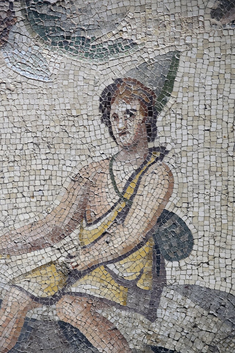 Zeugma Mozaik Müzesi · 4. kare